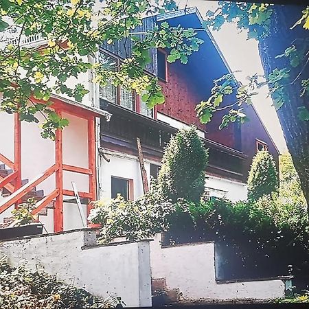 Pension Fischer Плауен Екстериор снимка