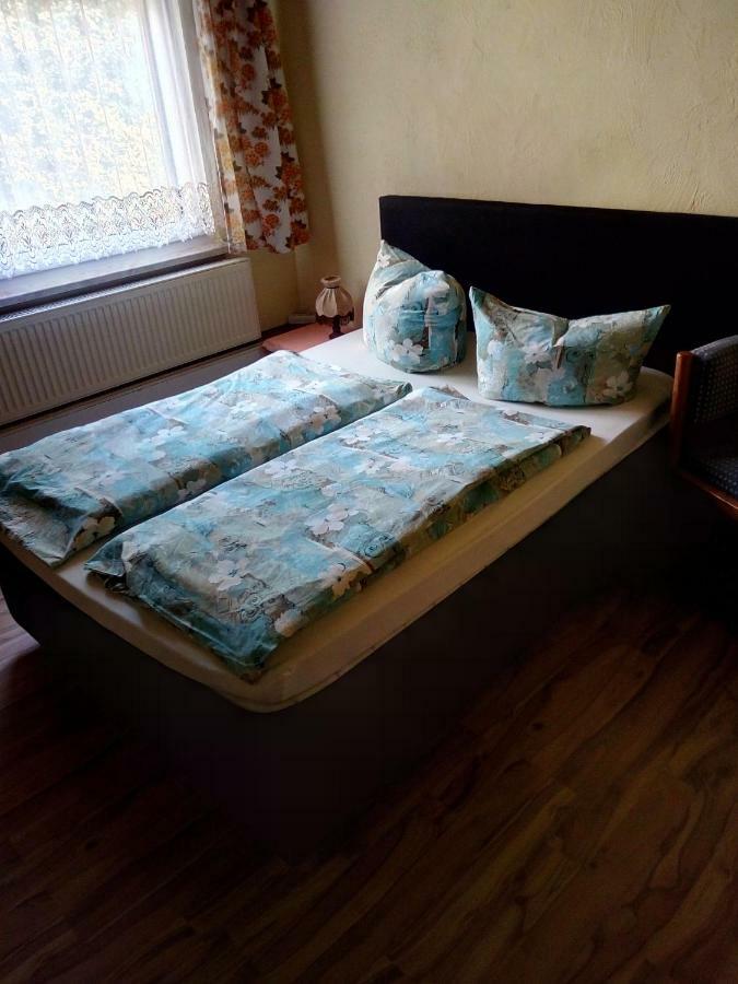 Pension Fischer Плауен Екстериор снимка